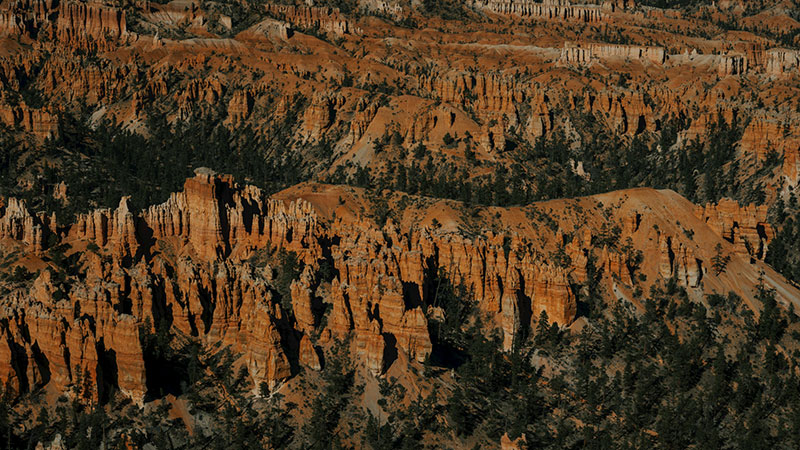 哈尔滨十大城市公园2025年排行榜前十名榜单出炉