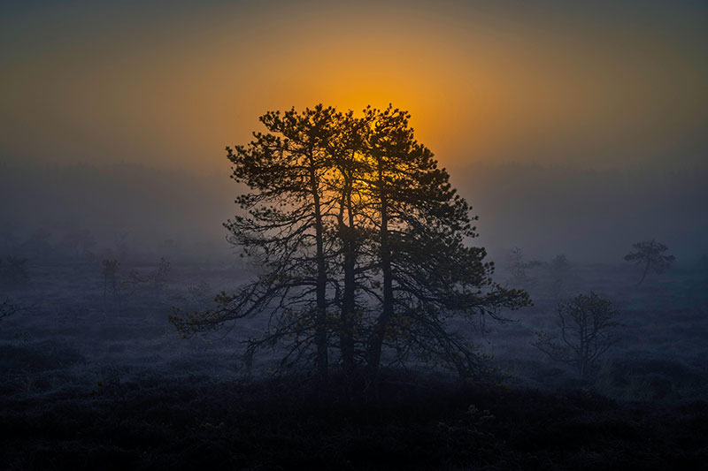 广东十大中秋旅游好去处2025年排行榜前十名榜单出炉